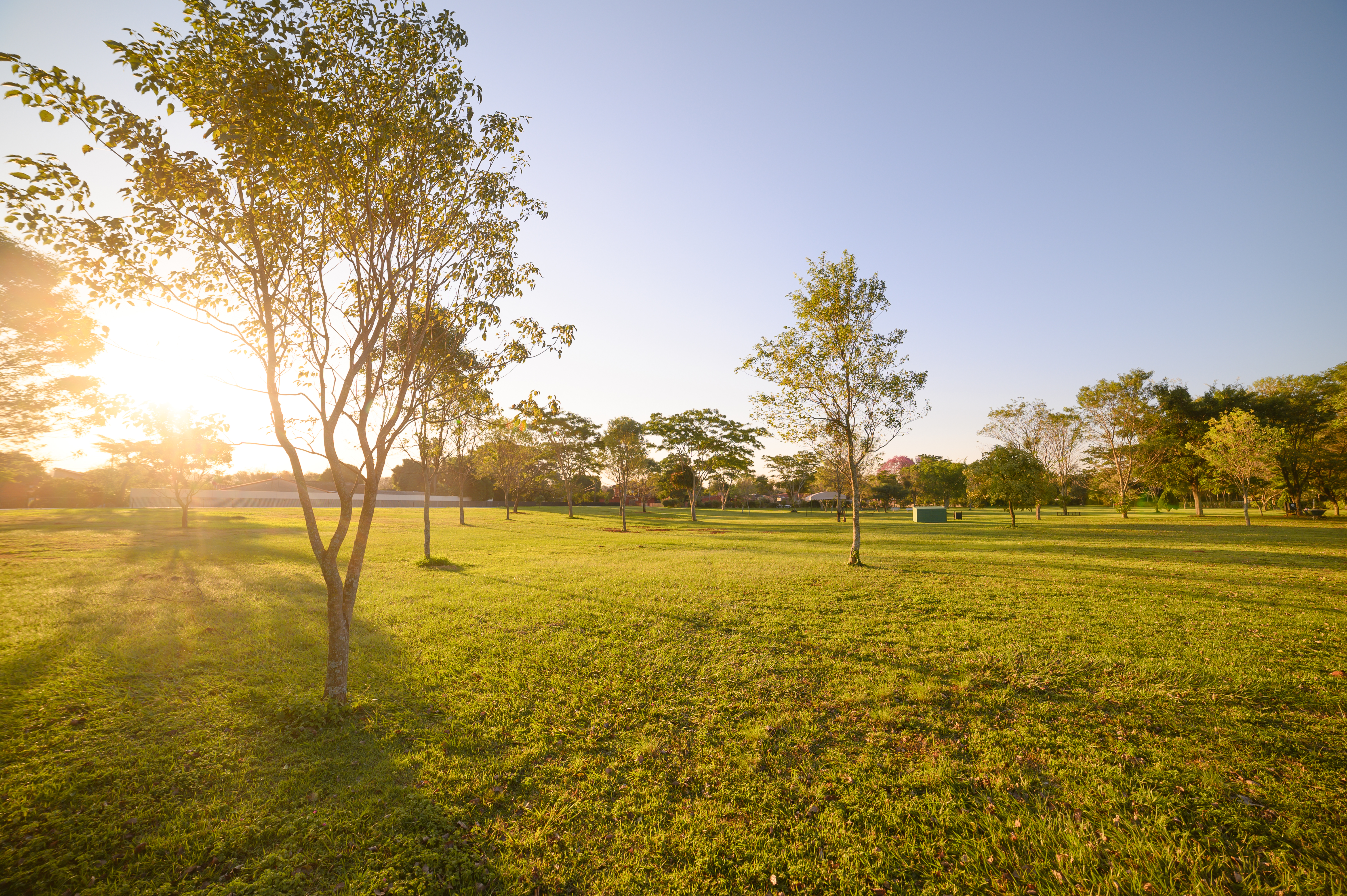 Parque Serenidad